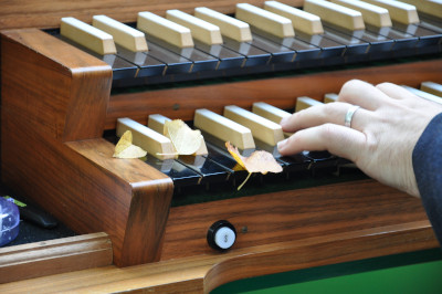 Organista sul camion